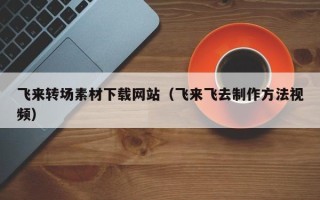 邵阳飞来转场素材下载网站（飞来飞去制作方法视频）