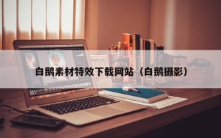邵阳白鹅素材特效下载网站（白鹅摄影）